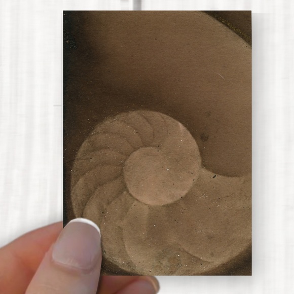 Original ACEO - Miniature Sea Shell Shell Painting - Nautilus Shell 604 - Picture 4 of 5